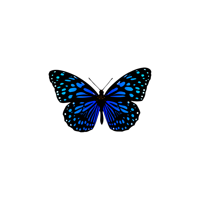 Blue Butterfly PNG Beautiful Images free Download, Retro Blue Butterfly, and Transparent Butterfly clipart. Get high-quality PNG for your designs.